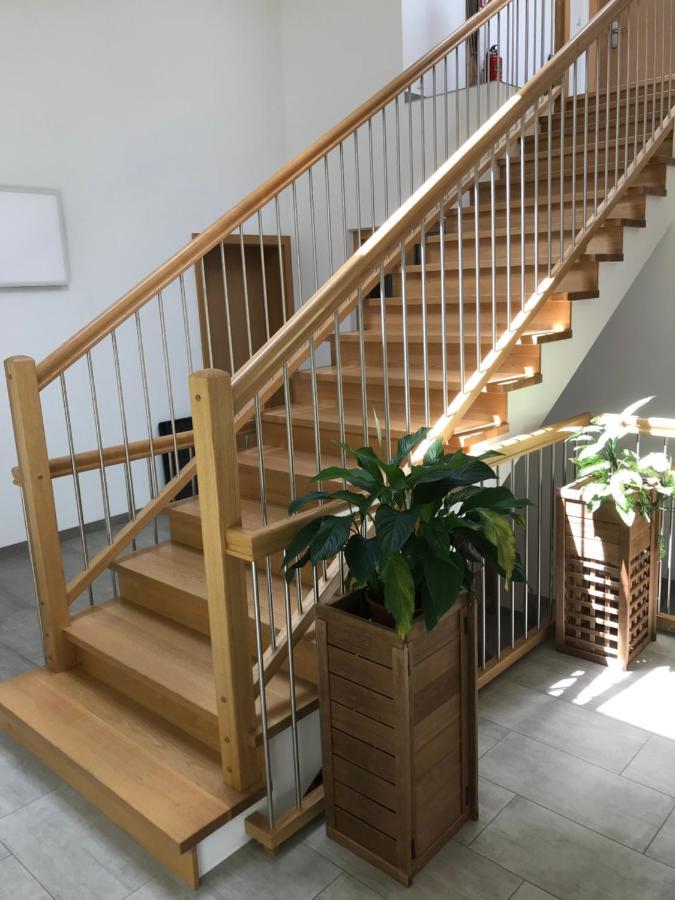 Appartement Platzhirsch à Haus im Ennstal Extérieur photo