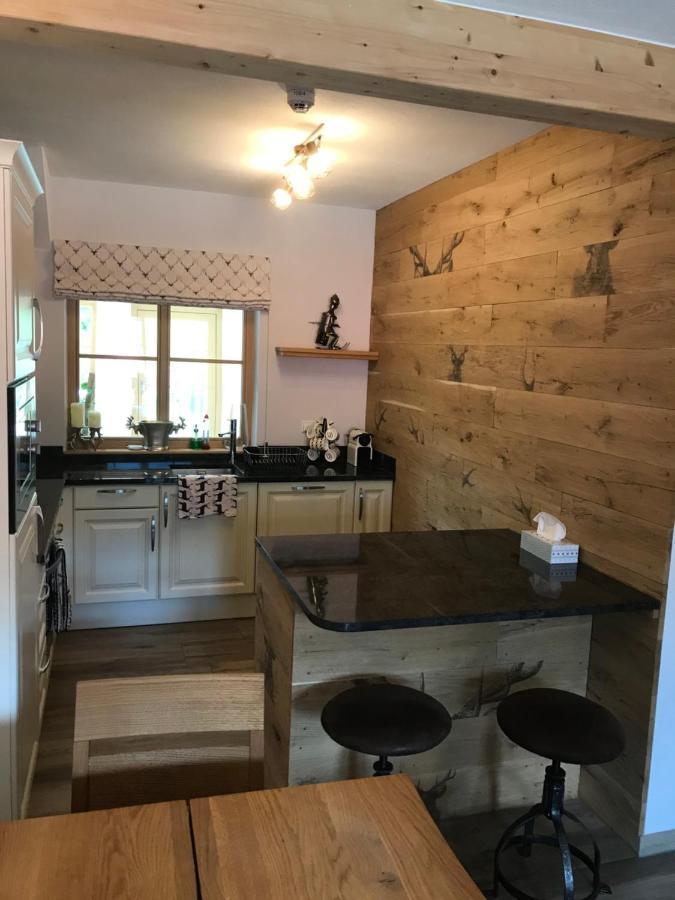 Appartement Platzhirsch à Haus im Ennstal Extérieur photo