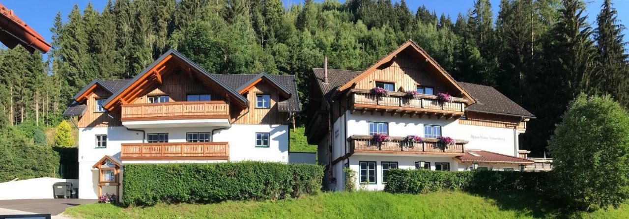 Appartement Platzhirsch à Haus im Ennstal Extérieur photo